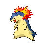 Typhlosion