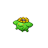 Skiploom