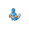 Mudkip