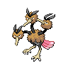 Dodrio